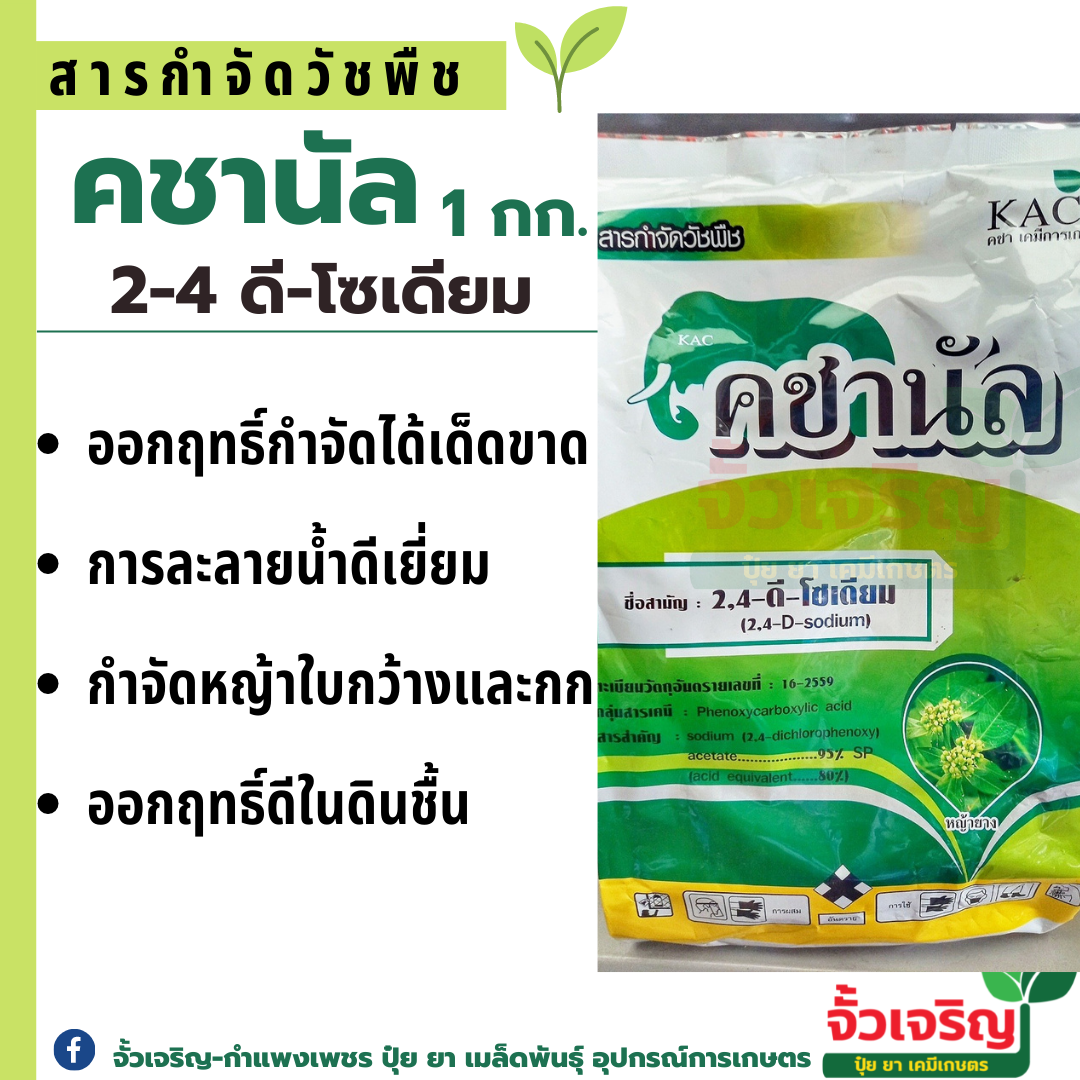 คชานัล (1kg)2,4ดี-โซเดียม กำจัดวัชพืชใบกว้าง เช่น ผักเบี้ยหิน ผักโขมหนาม ไมยราบเลื้อย สาบเสือ