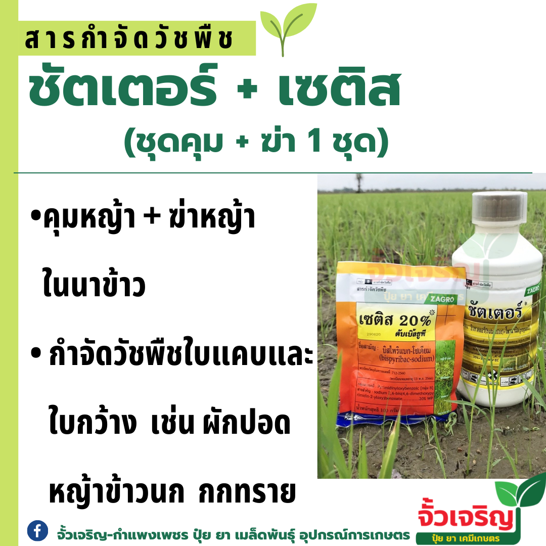 เซติส100g + ชัตเตอร์1ลิตร (บิสไพริแบก+บิวทาคลอร์) ยาคุม+ฆ่า ในนาข้าว