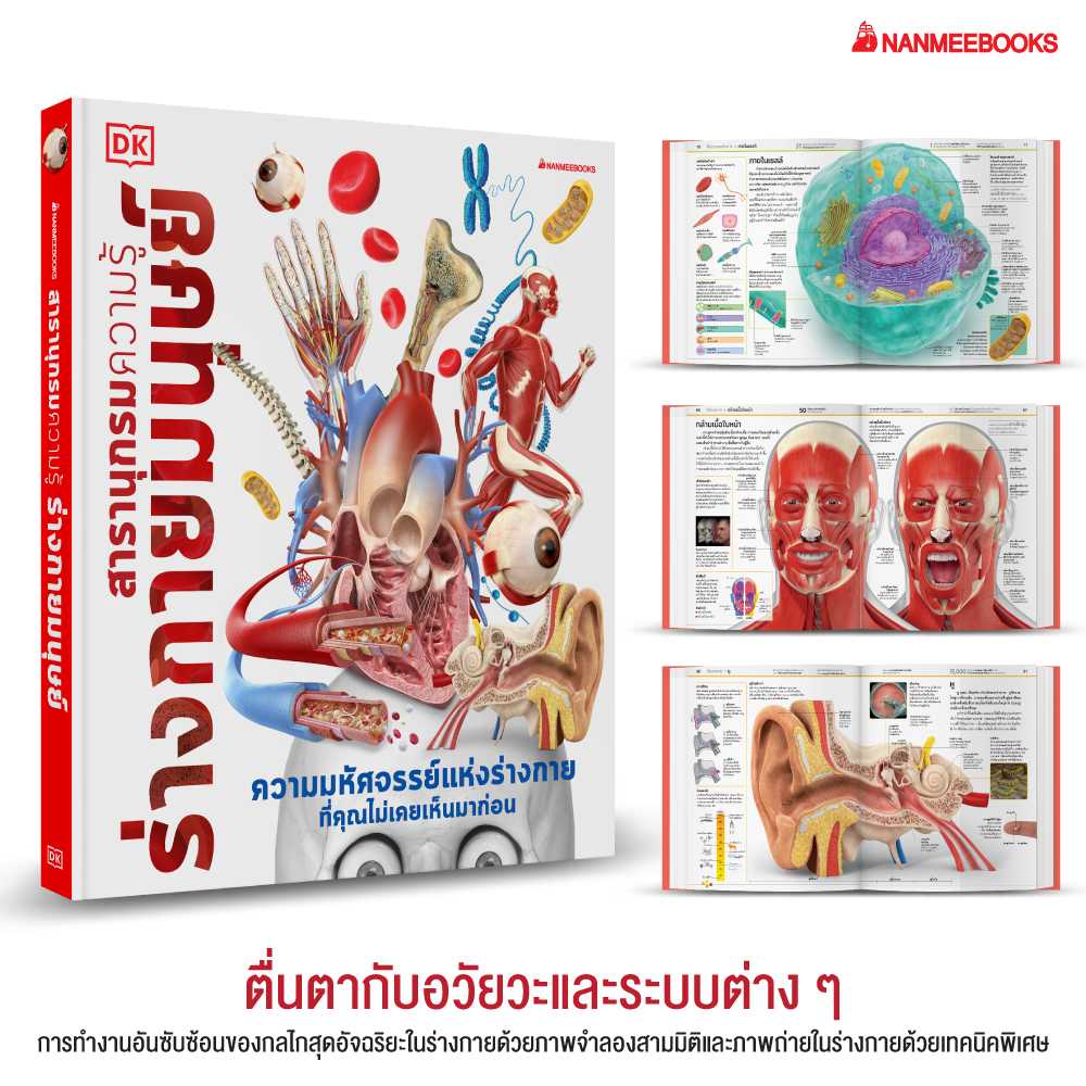 ✨ SALE 40%  ✨ NMB ชุดสารานุกรมความรู้  ร่างกายมนุษย์ เลือกส่งฟรีนะคะ