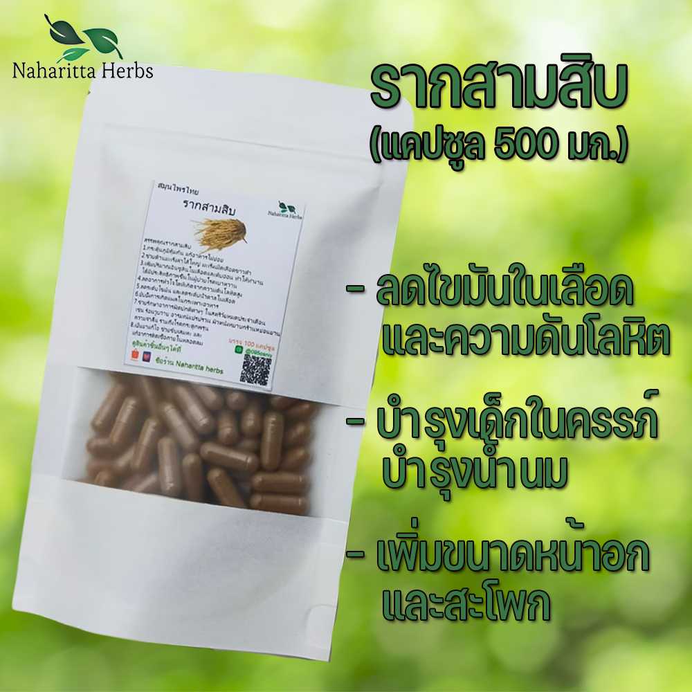 รากสามสิบแคปซูล ช่วยลดระดับไขมัน และระดับน้ำตาลในเลือด (ขนาด 500 มก./แคปซูล) บรรจุ 50-100 แคปซูล