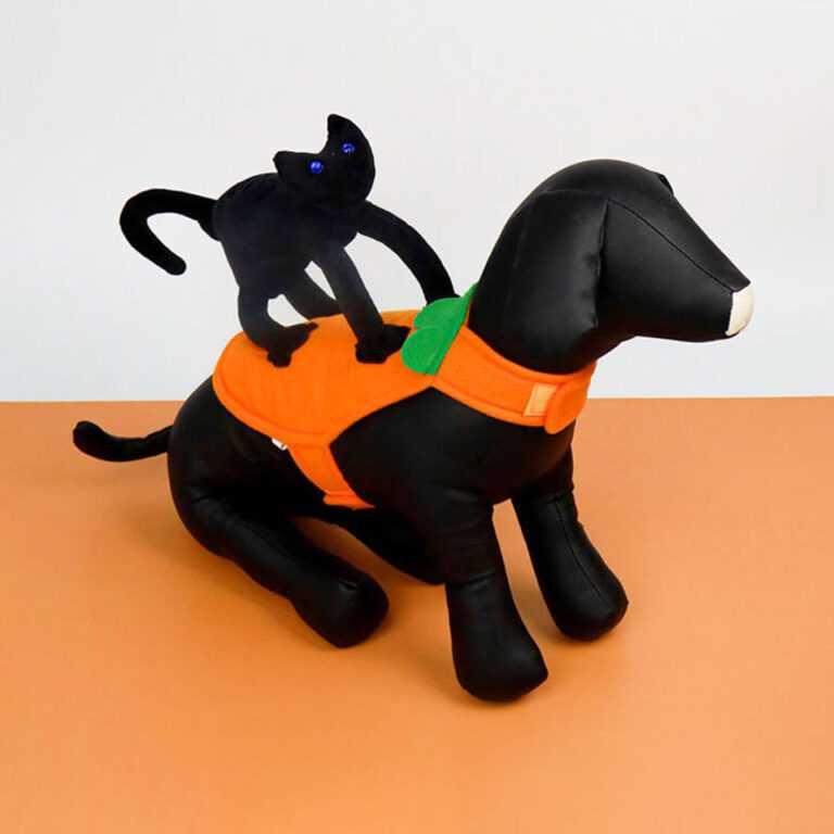 Halloween Collection - คอสตูมแมวดำเกาะหลัง