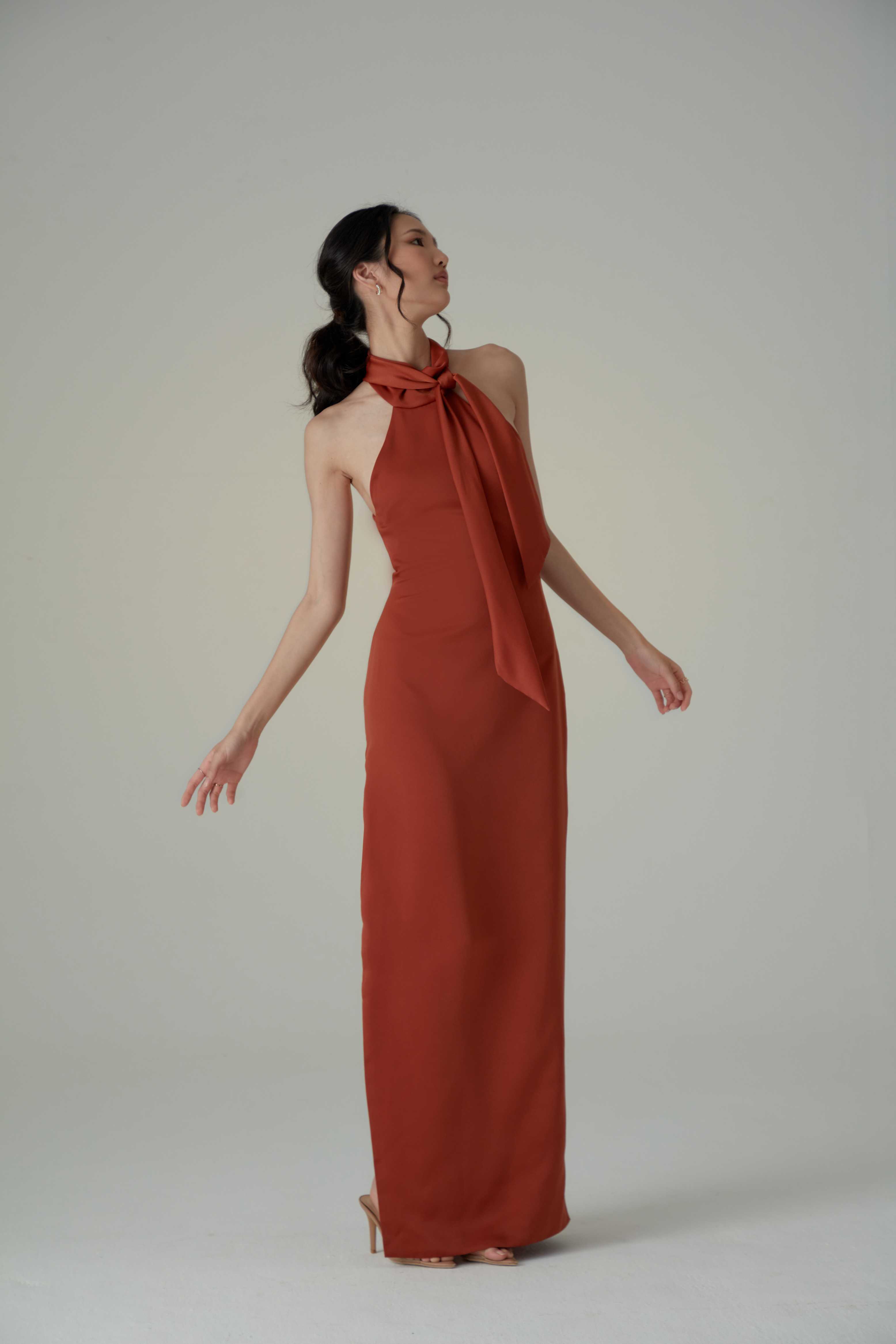 Imagine Maxi dress