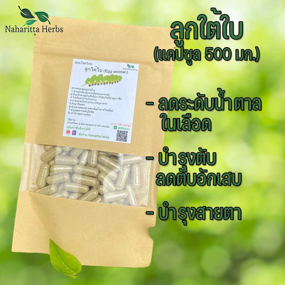 ลูกใต้ใบแคปซูล ช่วยรักษาอาการปวดข้อ ปวดกระดูก  (ขนาด 500 มก./แคปซูล) บรรจุ 50-100 แคปซูล
