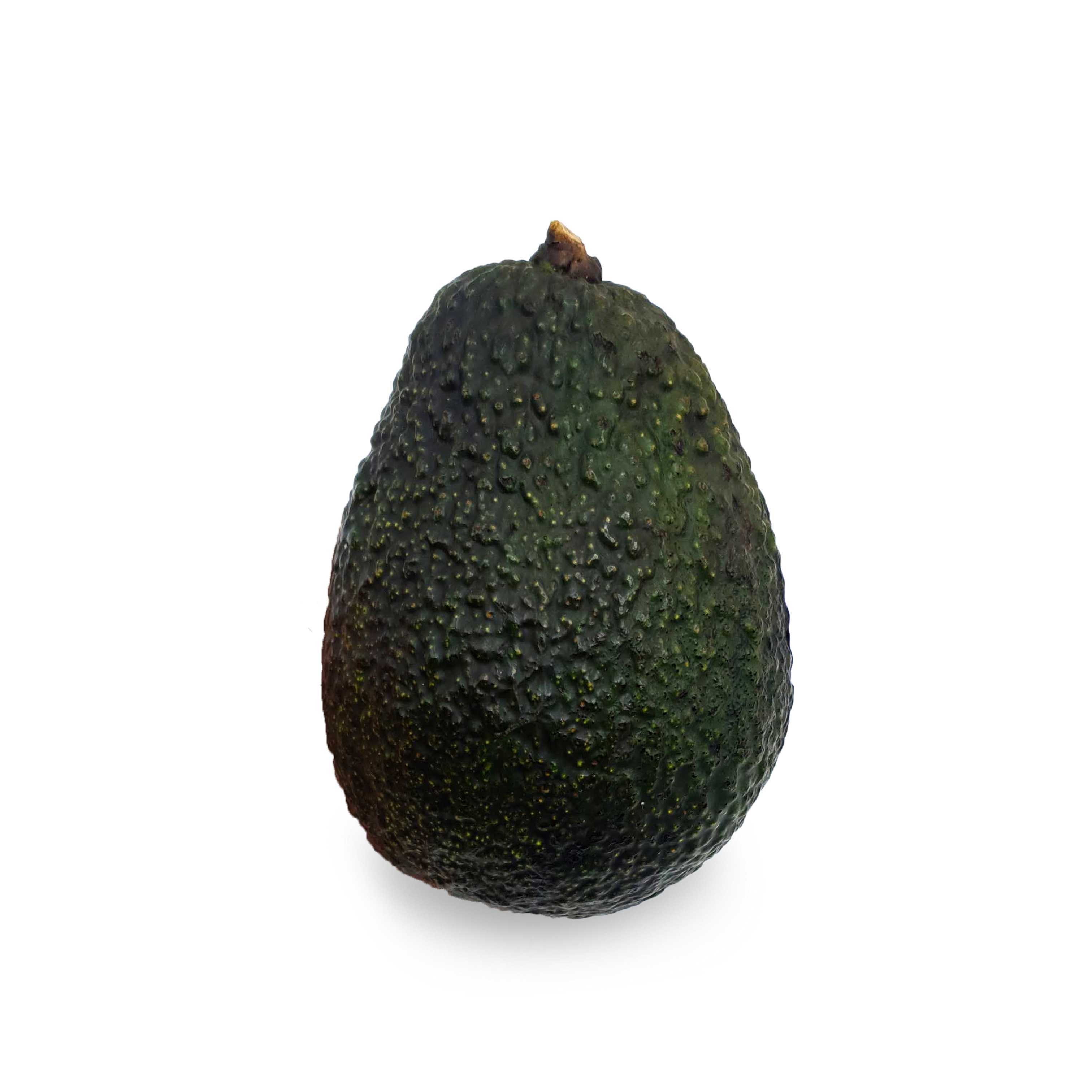 อาโวคาโดห่ามพันธุ์แฮส  140-160g/pc.  (  Almost Ripe Hass Avocado)Days to ripe : 1-2 Import from AUS