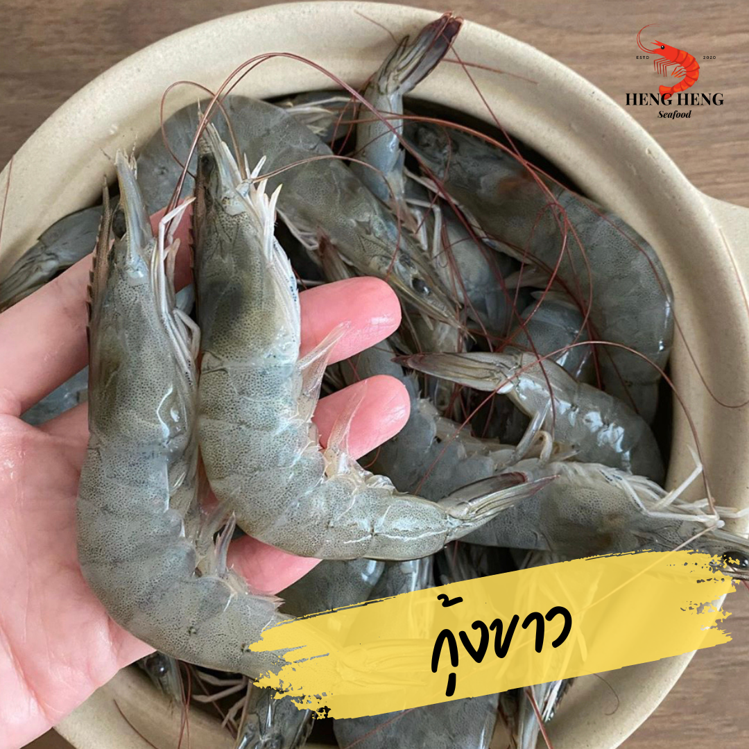 กุ้งขาว