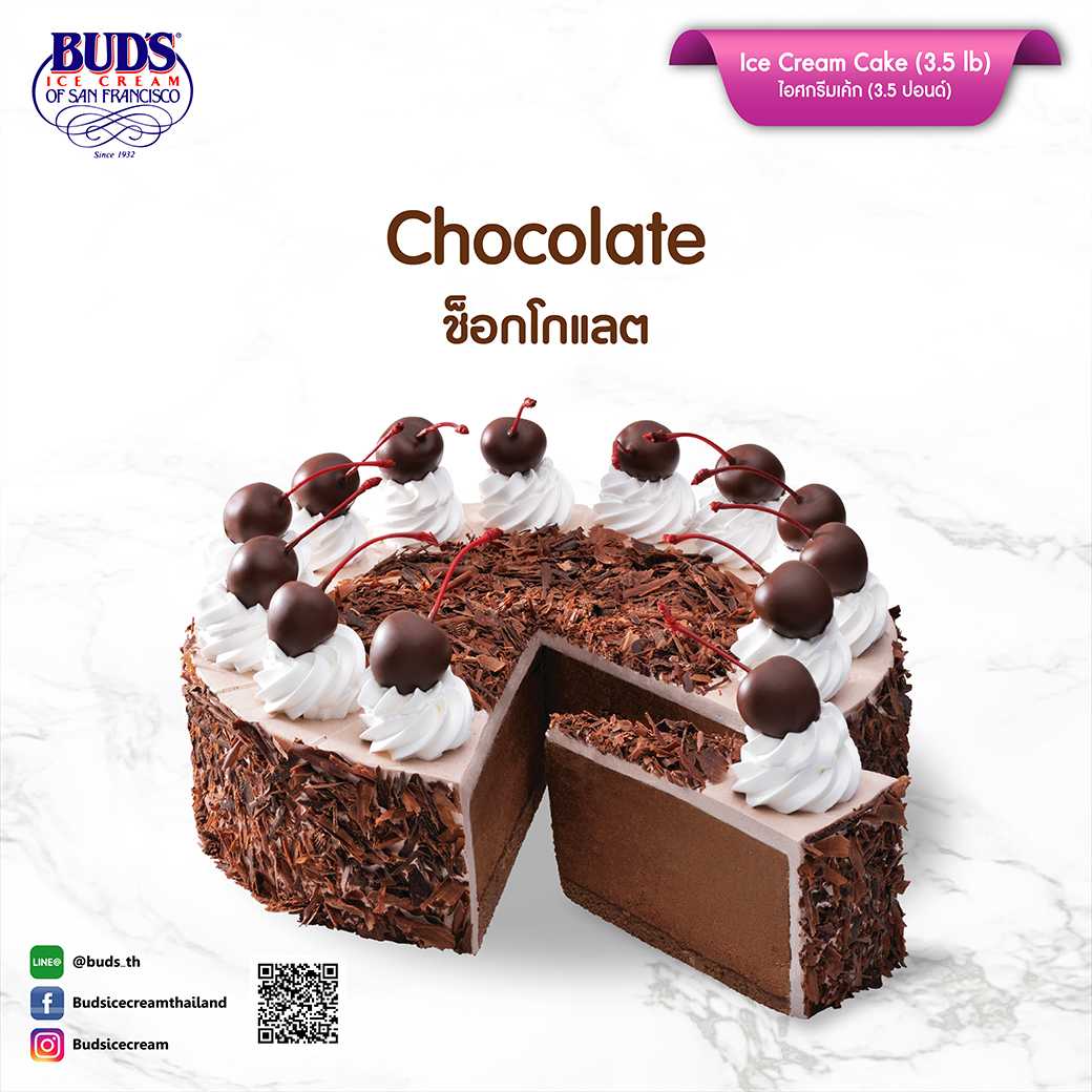 BUD'S Ice Cream Cake Chocolate 3.5 lb