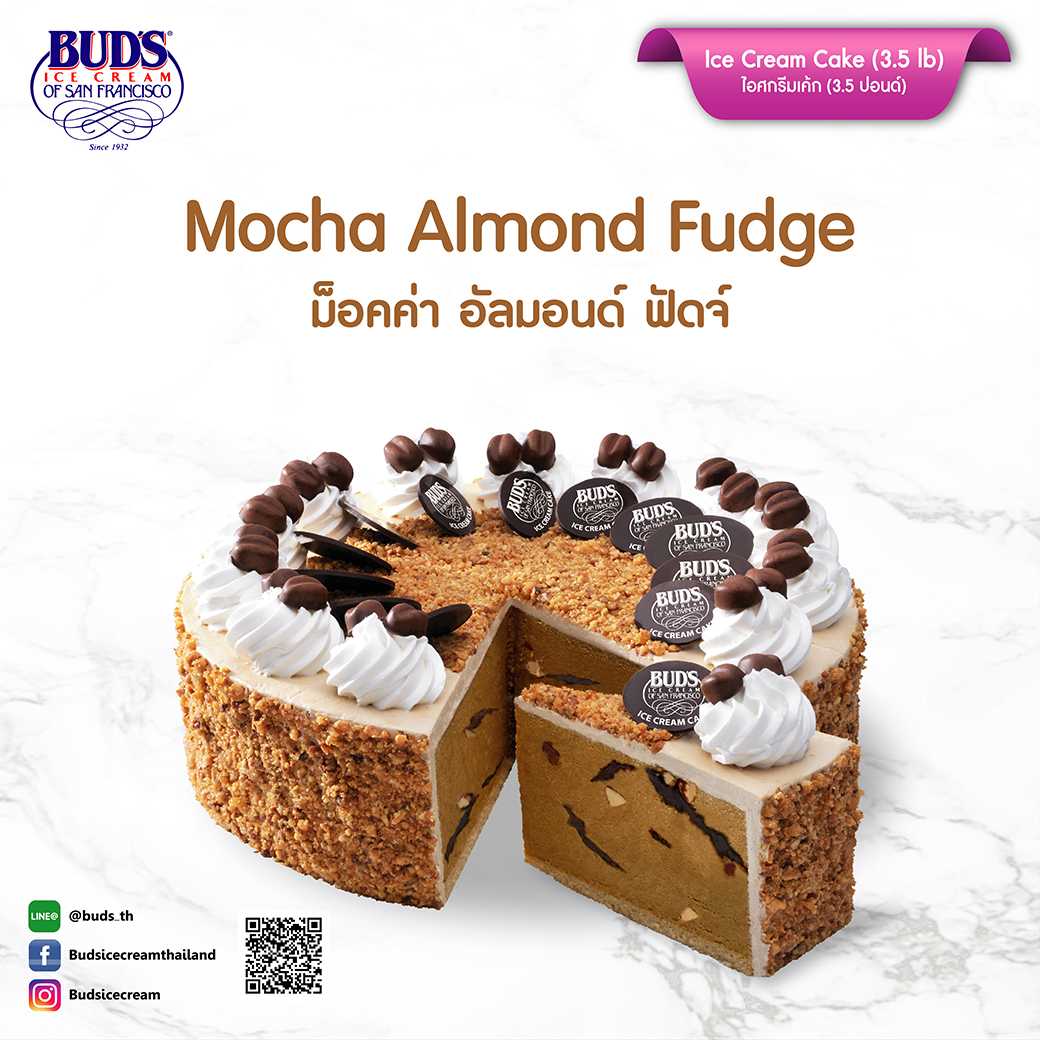 BUD'S Ice Cream Cake Mocha Almond Fudge 3.5 lb