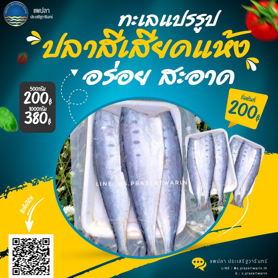 สีเสียดเค็ม