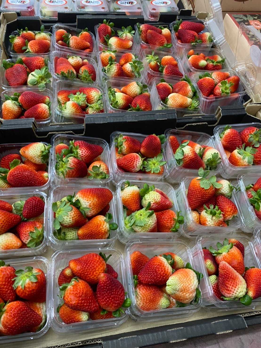 Strawberry สตรอเบอร์รี่