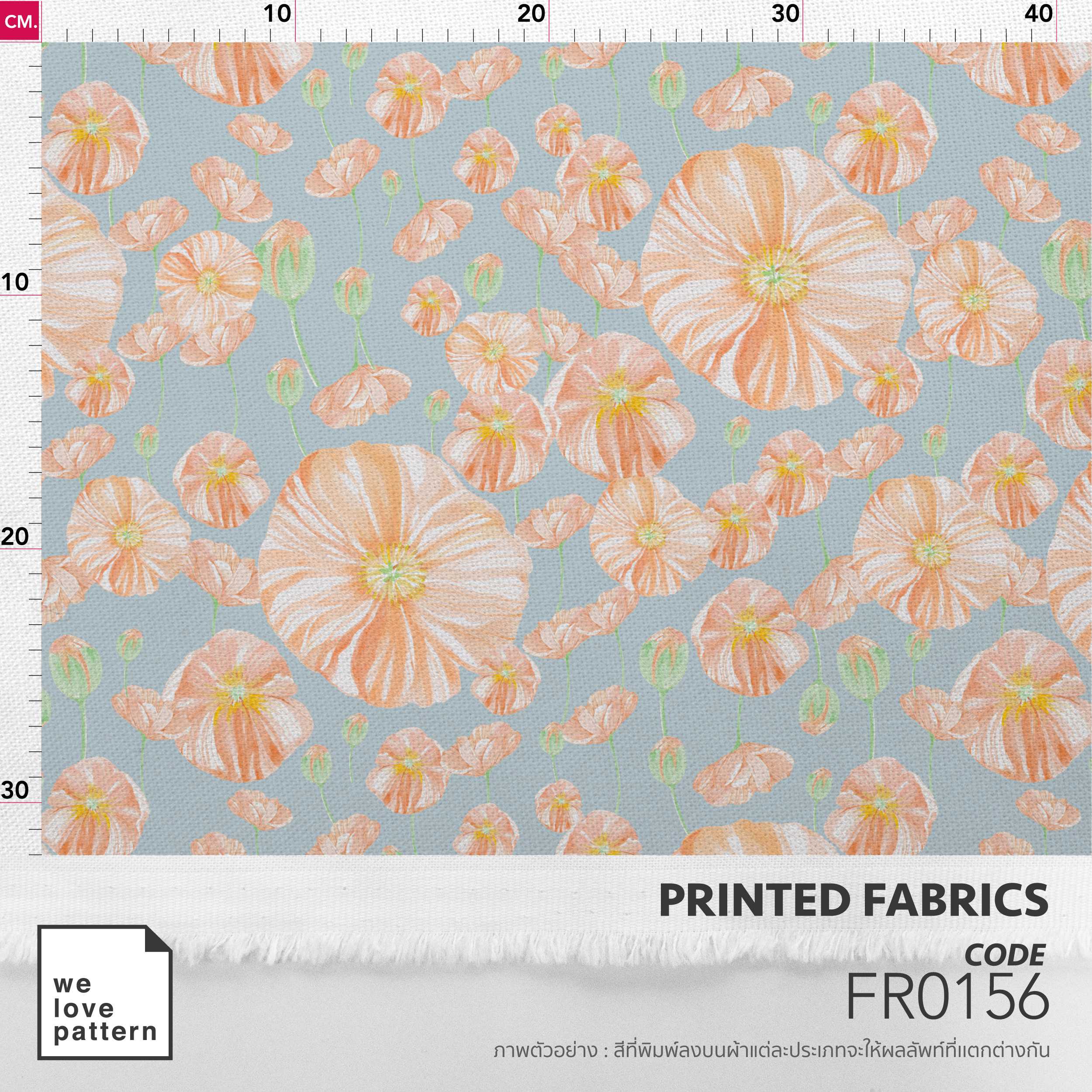 รหัสลาย : FR0156
