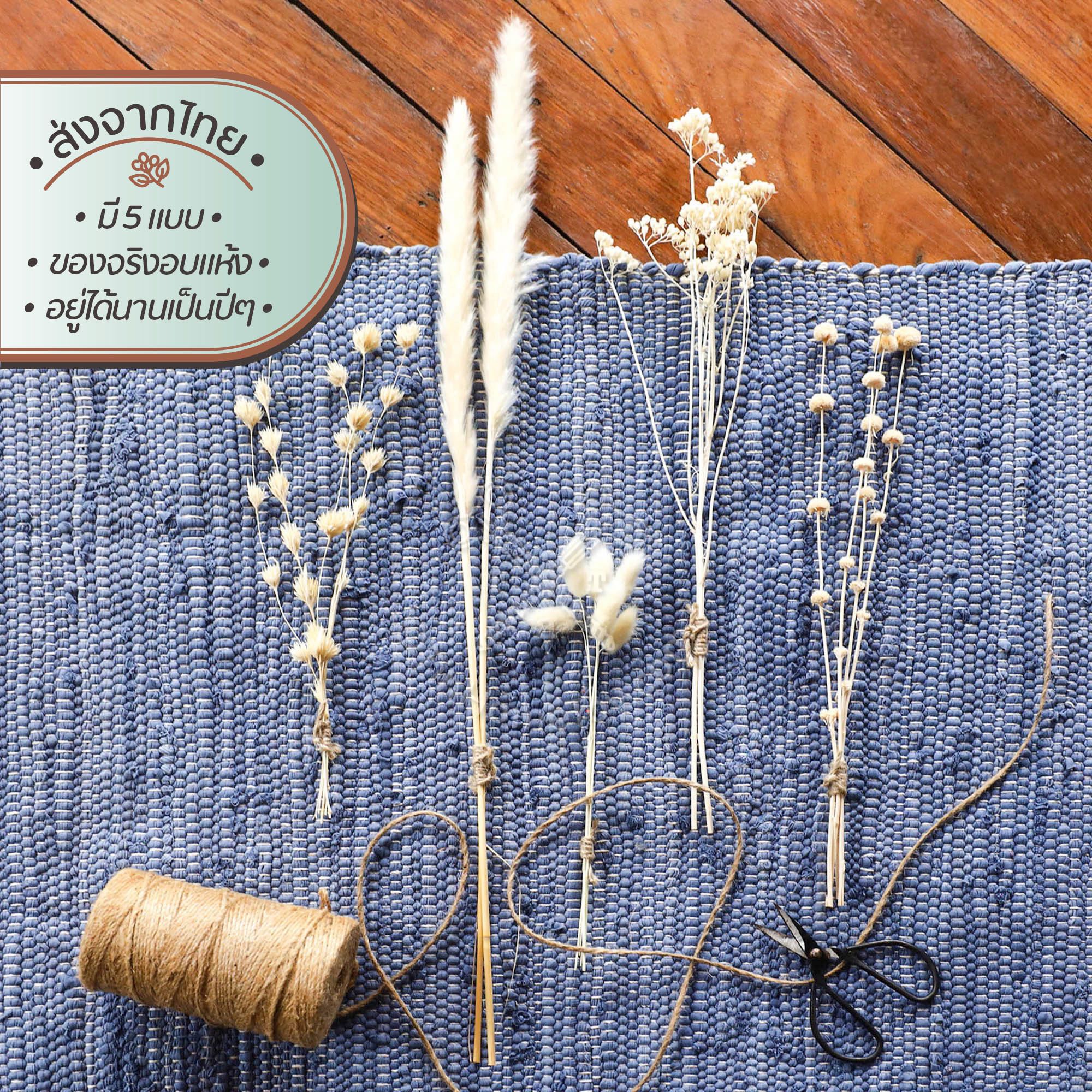 มินิบูเก้บลีช ช่อดอกไม้ฟอกสีอบแห้งจิ๋ว | Mini Bouquet-Bleached