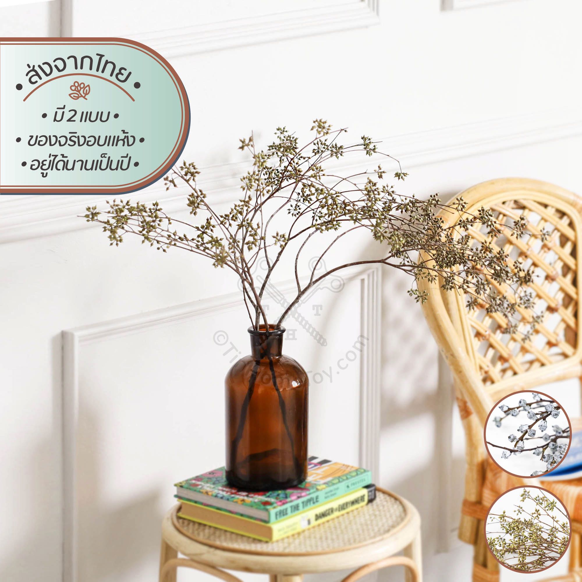 ดรายด์ซีดบูเก้ ช่อลูกไม้อบแห้ง | Dried Seed Bouquet