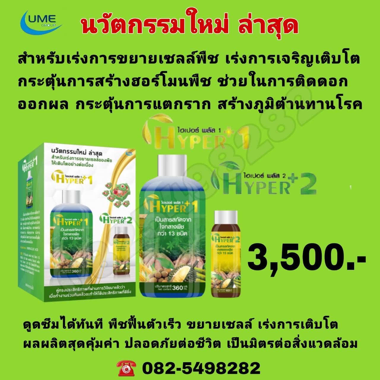 Hyper plus 1 / plus 2 ไฮเปอร์พลัส 1/พลัส 2   1ชุด