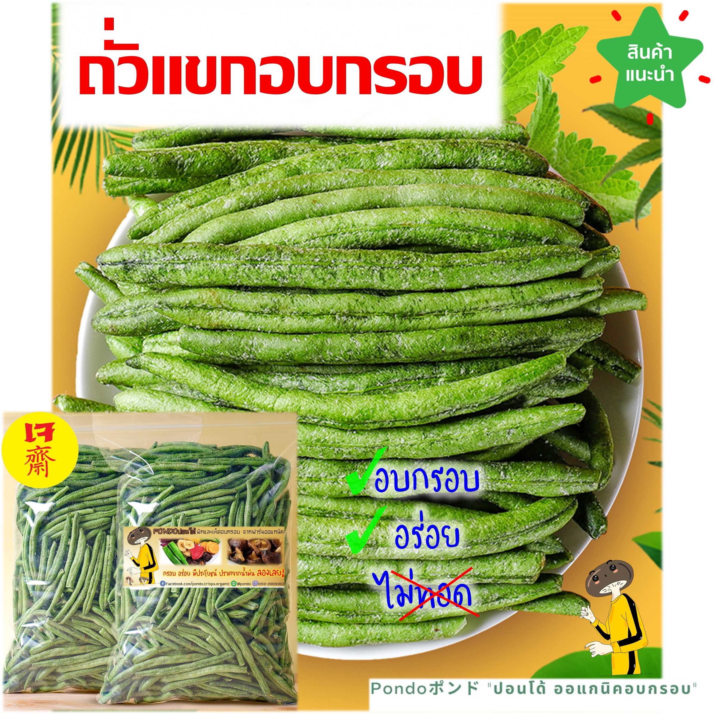 ถั่วแขกอบกรอบ PONDO ไม่ใช้น้ำมัน กรอบอร่อย ไม่หืน ไม่อ้วน มีประโยชน์ ผักอบกรอบ ปลอดสารเคมี