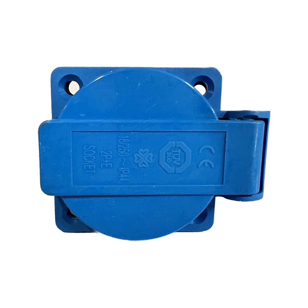 EUROPEAN SOCKET (BLUE) / SP-20262437