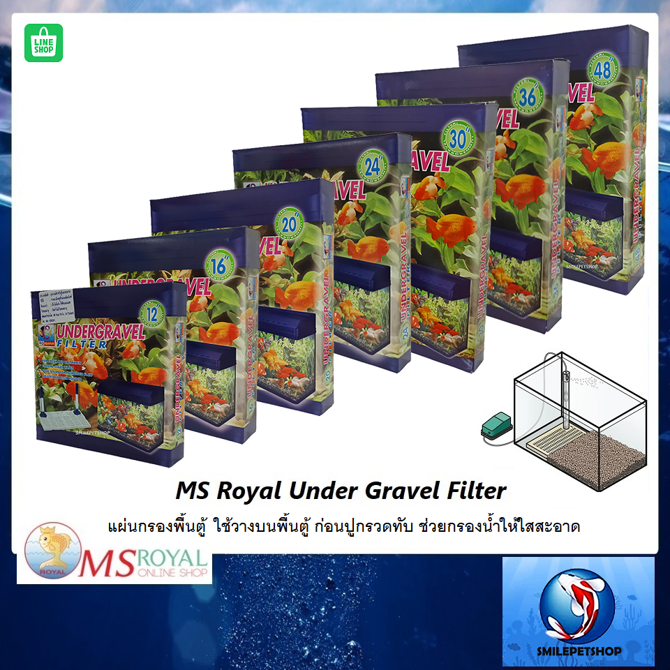 MS Royal Under Gravel Filter 12-48 นิ้ว(กรองพื้นตู้ใช้วางบนพื้นตู้ ก่อนปูกรวดทับ ช่วยกรองน้ำให้ใส)