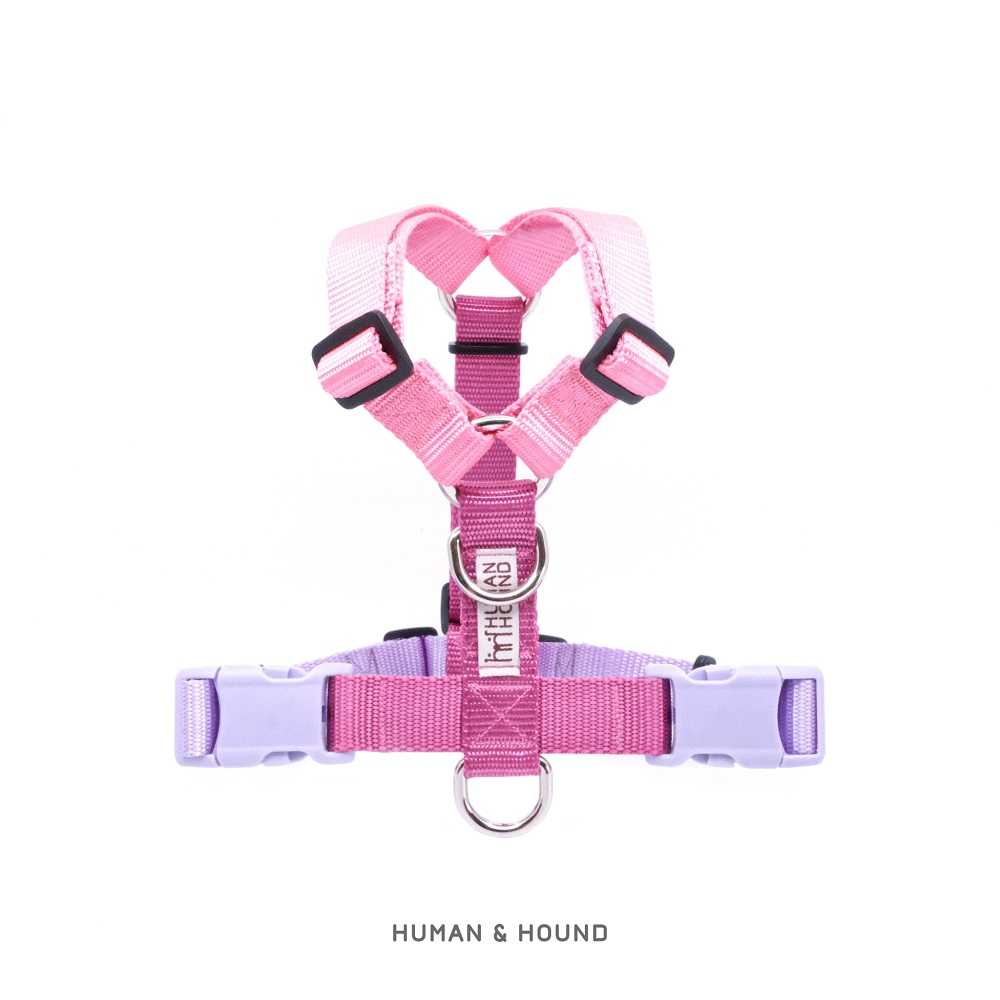 H -harness สายรัดอกสุนัข : สี BARBIE