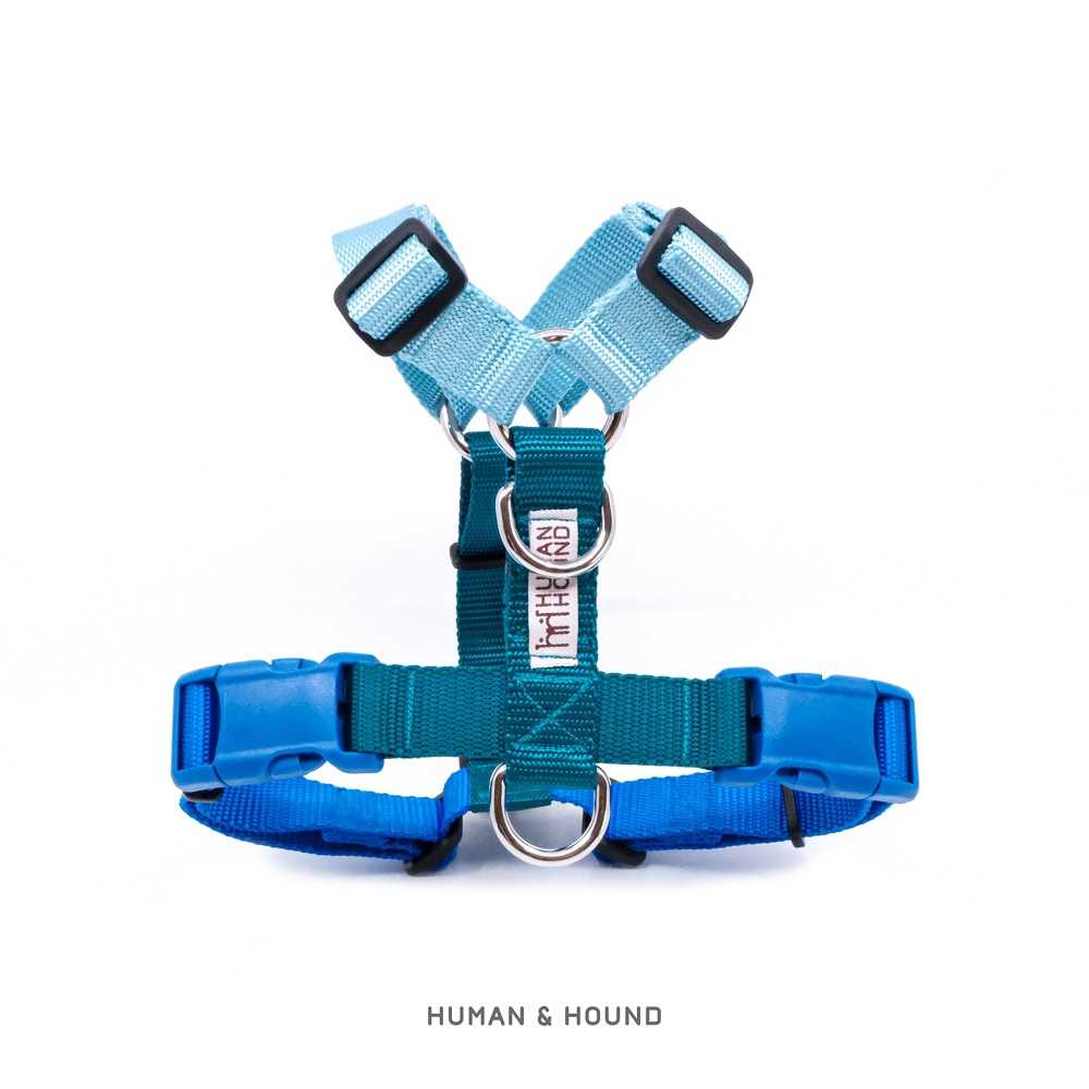 H -harness สายรัดอกสุนัข : สี ICE BERG (XS,S,M,L)