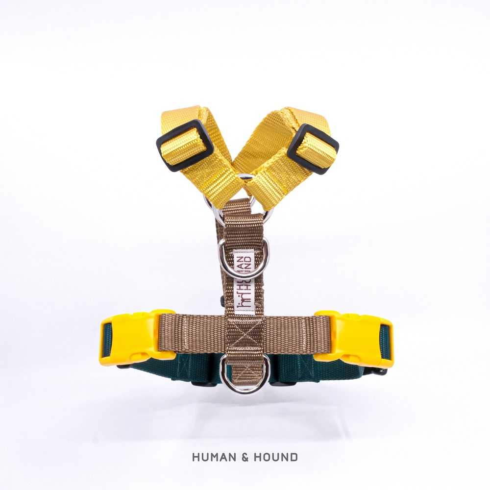 H -harness สายรัดอกสุนัข : สี SPRING PARK (XS,S,M,L)