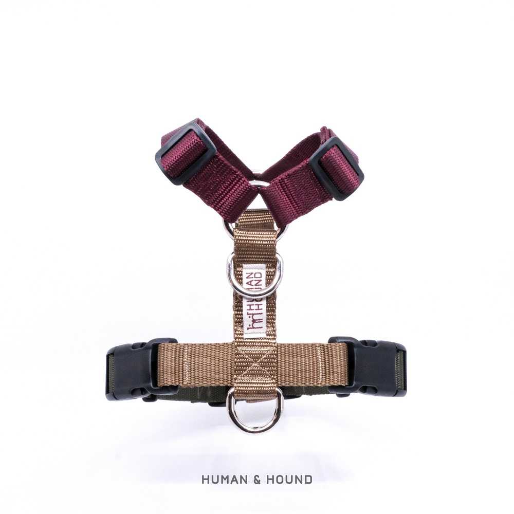 H -harness สายรัดอกสุนัข : สี TRAIL (XS,S,M,L)