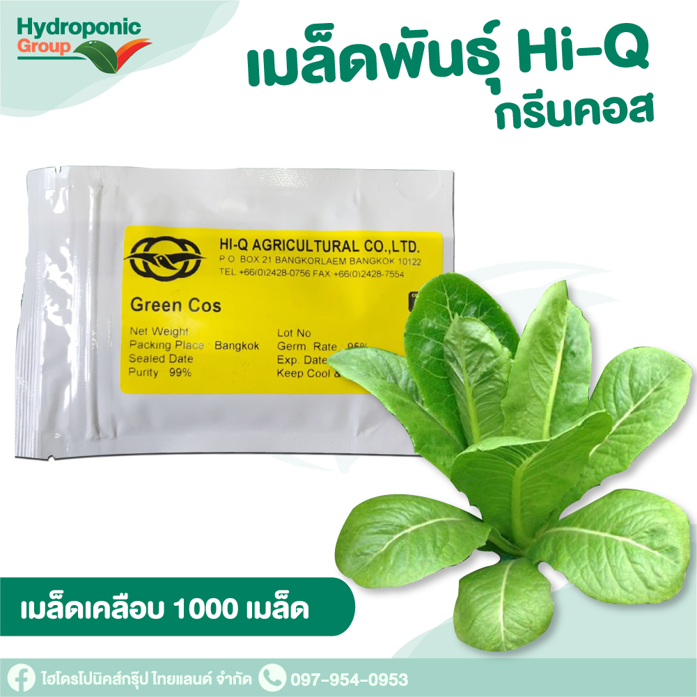 เมล็ดพันธุ์ Hi Q กรีนคอส (Green Cos) 1,000 เมล็ด #เมล็ดผักสลัด #ผักสลัด #เมล็ดพันธุ์ #ปลูกผัก
