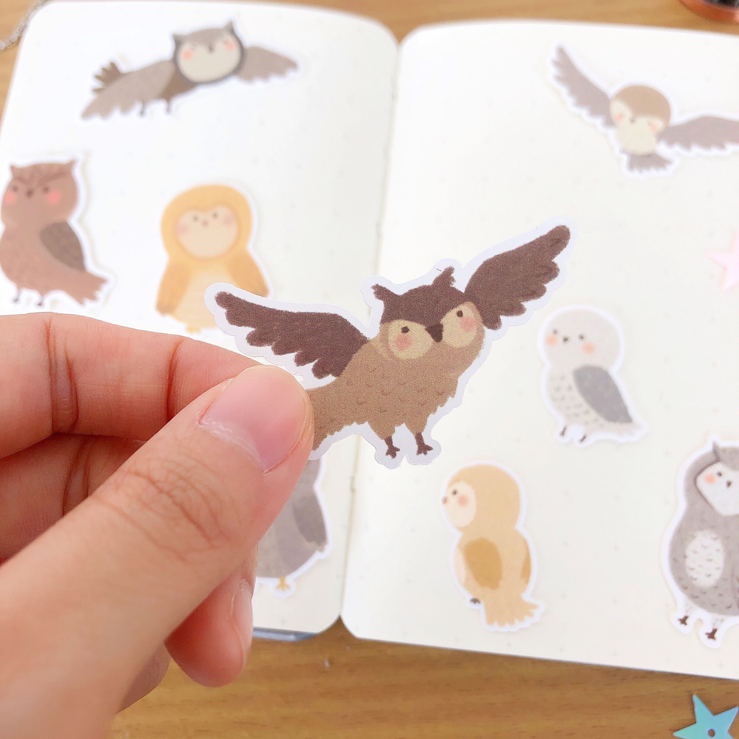 Little Owl (Harry Potter sticker fanmade)