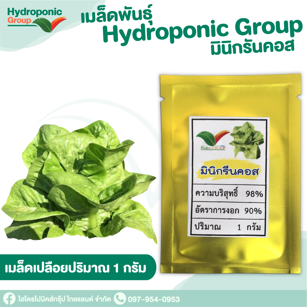 เมล็ดผักสลัด แบบเปลือย มินิกรีนคอส #Promotion #เมล็ดผักสลัด #ผักสลัด #เมล็ดพันธุ์ผักสลัด