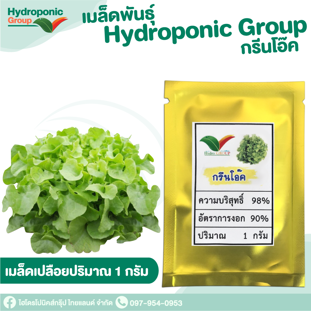 เมล็ดผักสลัด แบบเปลือย กรีนโอ๊ค #Promotion #เมล็ดผักสลัด #ผักสลัด #เมล็ดพันธุ์ผักสลัด