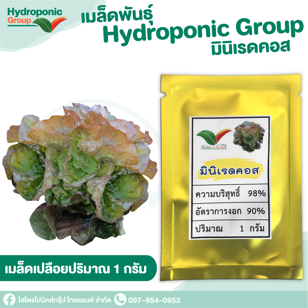 เมล็ดผักสลัด แบบเปลือย มินิเรดคอส #Promotion #เมล็ดผักสลัด #ผักสลัด #เมล็ดพันธุ์ผักสลัด