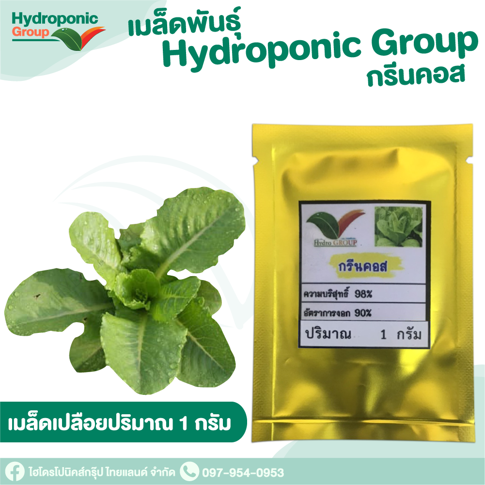 เมล็ดผักสลัด แบบเปลือย กรีนคอส #Promotion #เมล็ดผักสลัด #ผักสลัด #เมล็ดพันธุ์ผักสลัด