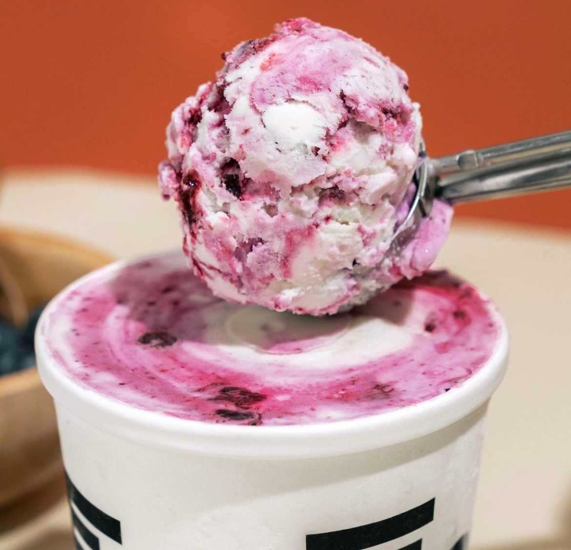 Baking Blueberry Swirl (Pint) - Light Froyo