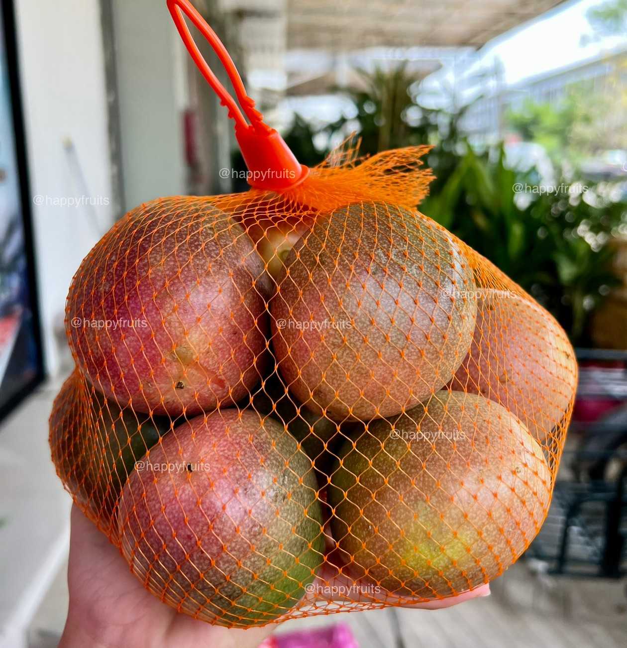 เสาวรสVIP สดจากสวน (แพคละ1 กิโล)