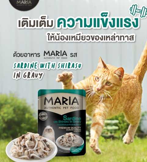อาหารแมวมาเรีย