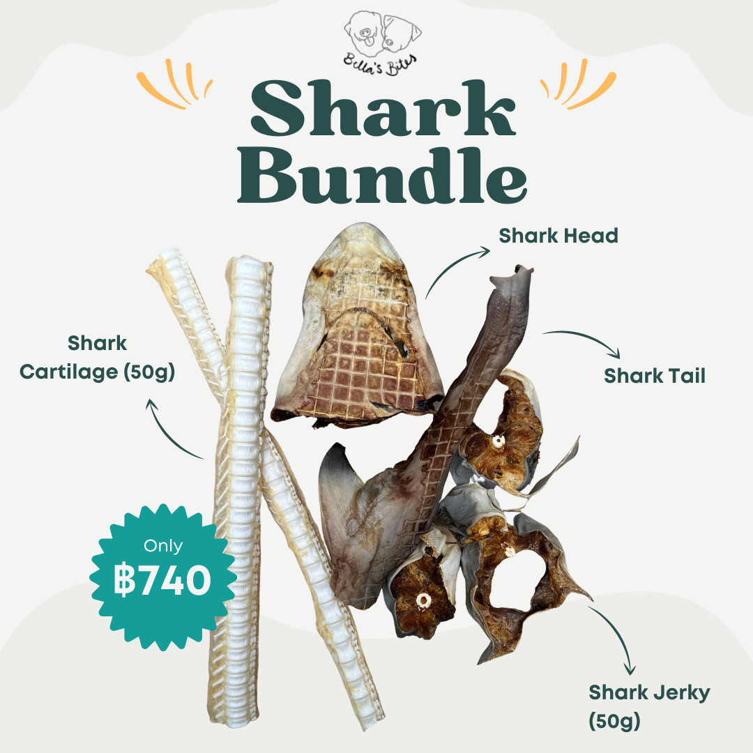 Shark Bundle