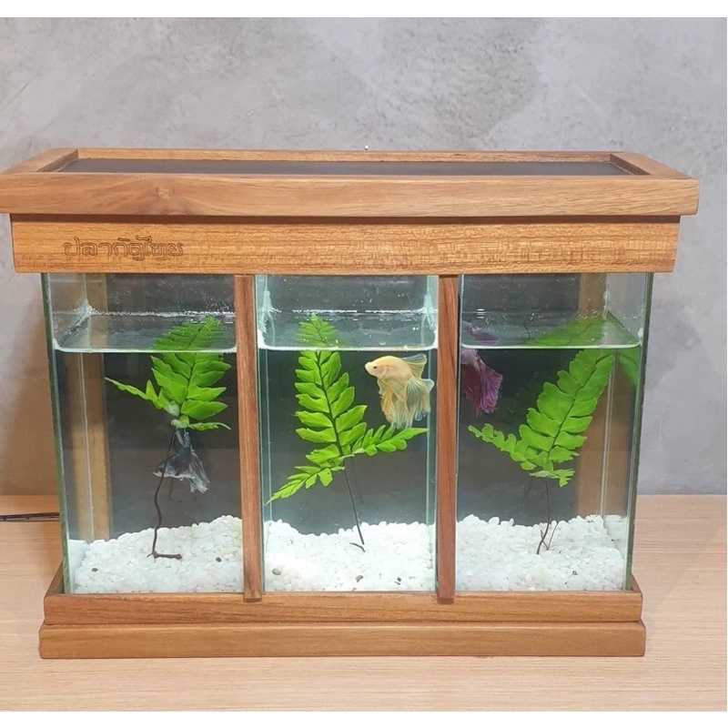 ตู้ปลากัด โหลปลากัด 4x4x8 นิ้ว 3 ใบ  ฝาครอบโหลปลา ไม้สักทอง ไฟ LED