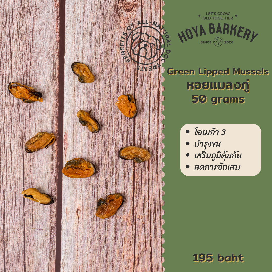 Hoya Barkery Green Lipped Mussels
