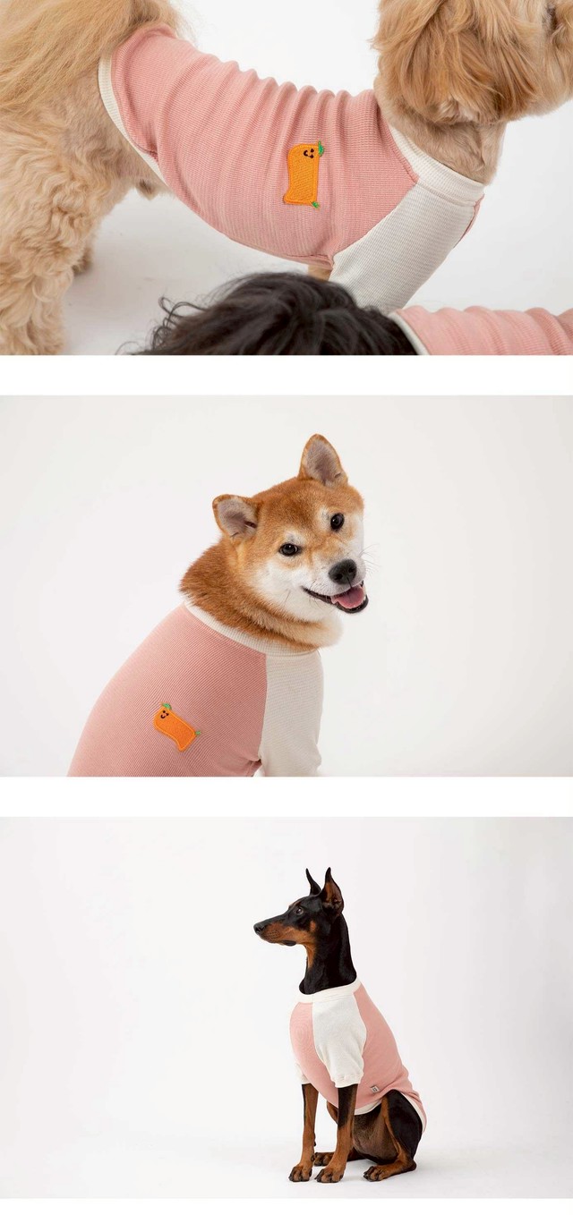 Pup & Thread Top main image 1