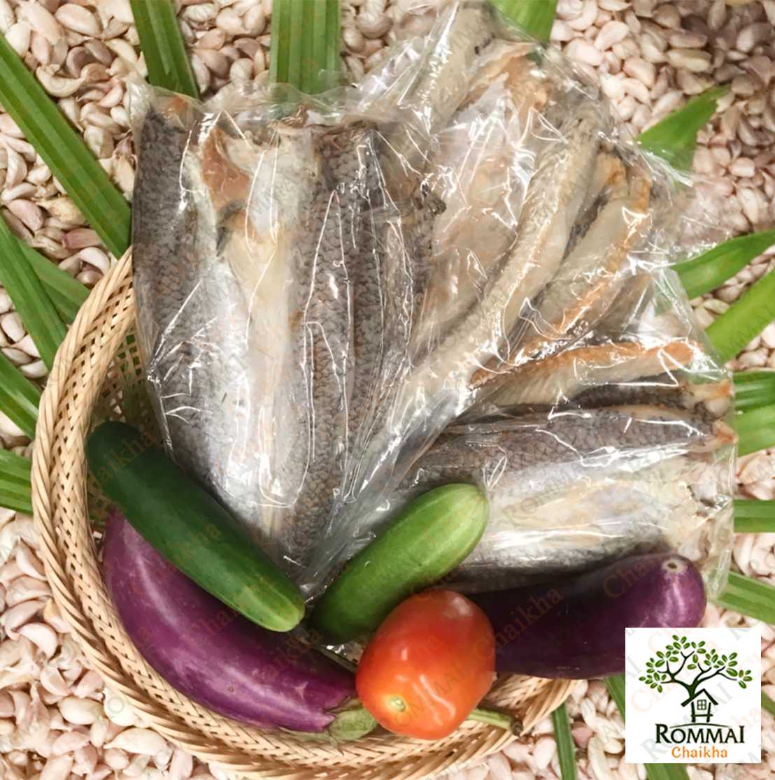 ปลาเค็ม ปลาไส้กอ อาหารทะเล  สดใหม่จ ออร์แกนิก 100% ไม่ใช้สารในการผลิต ทอด แกง ก็อร่อย