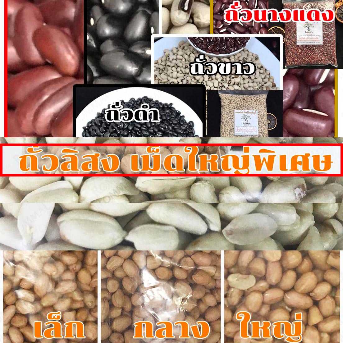 ถั่วลิสง ถั่วแดงหลวง ถั่วขาว ถั่วดำ ถั่วนางแดง หลายชนิดที่เดียวจบ  มี 2 ปริมาณ 500 กรัม/ 1 ก.ก.