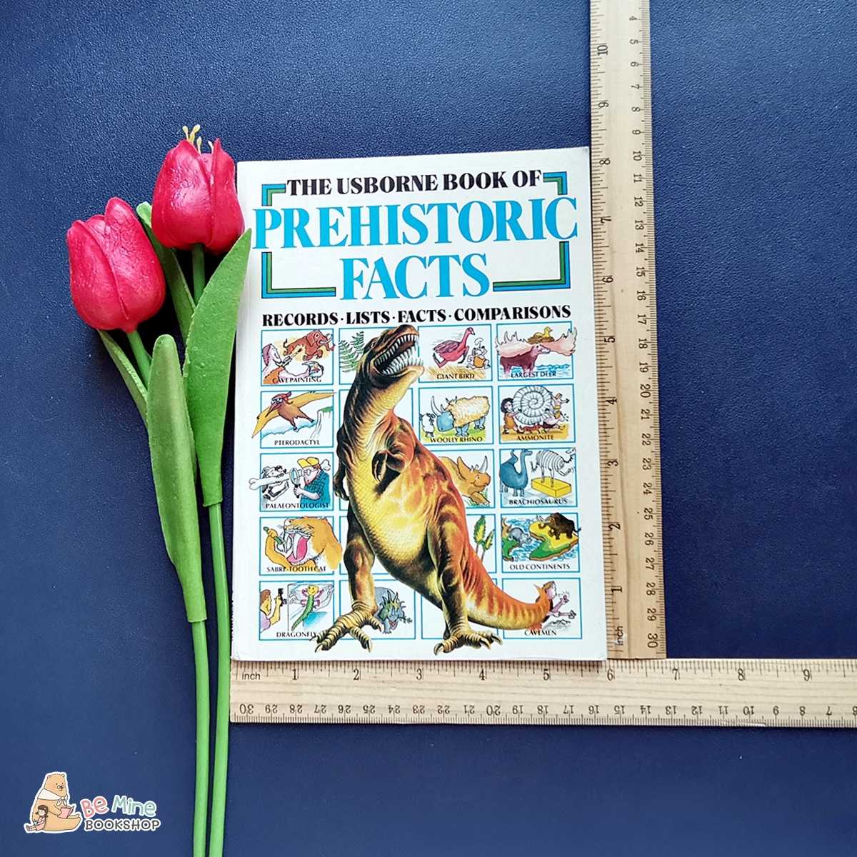หนังสือความรู้║The Usborne Book of Prehistoric Facts║★มือสอง ★ปกอ่อน