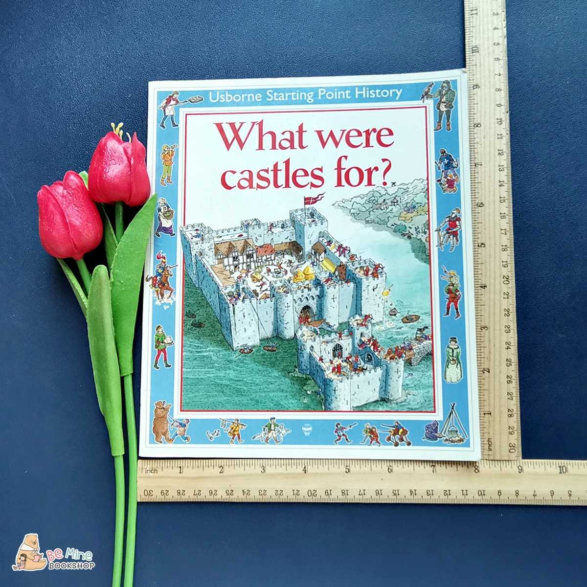 ❌SOLD❌หนังสือความรู้║What Were Castles for║★มือสอง ★ปกอ่อน 📌ใบรองปกขาดเล็กน้อยติดสก็อตเทป