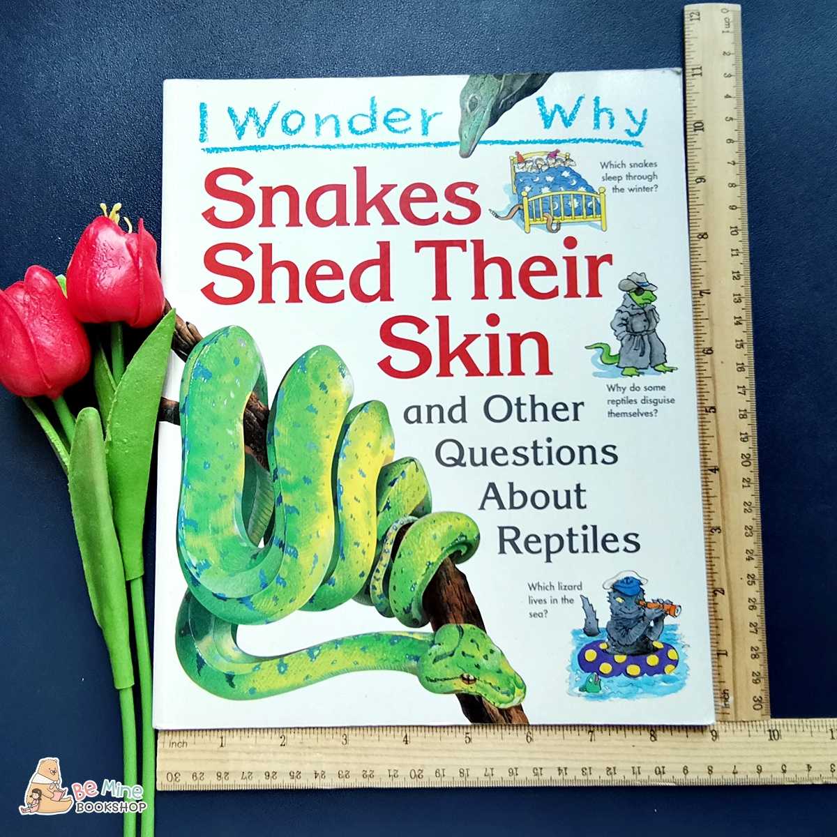 หนังสือความรู้ ║Snakes Shed Their Skin║★มือสอง ★ปกอ่อน 📌ติดสก็อตเทปที่หน้าสุดท้าย