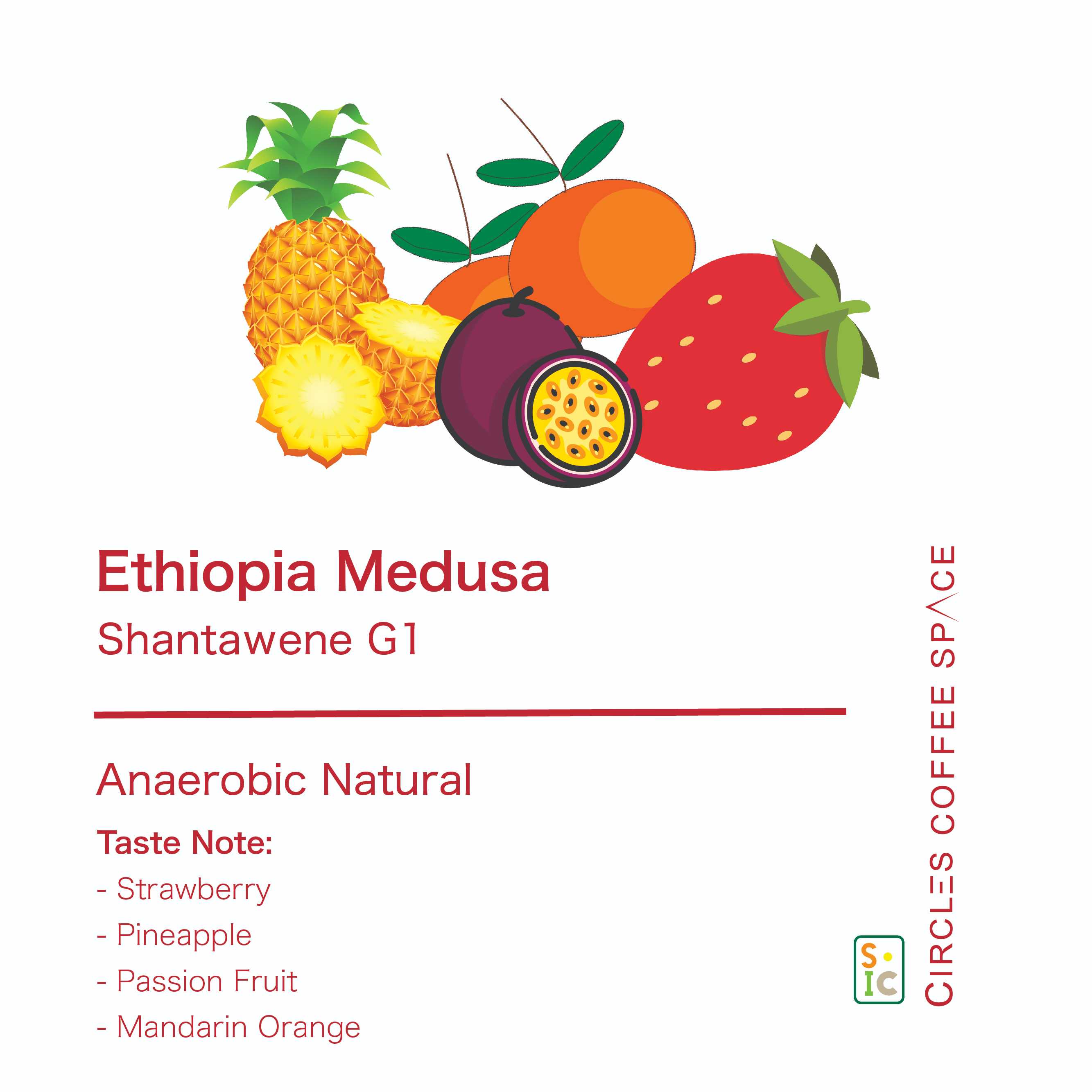 Ethiopia Medusa