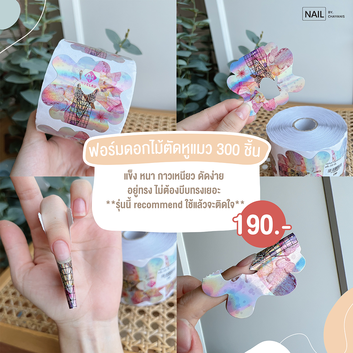 ฟอร์มดอกไม้ตัดหูแมว 300 ชิ้น