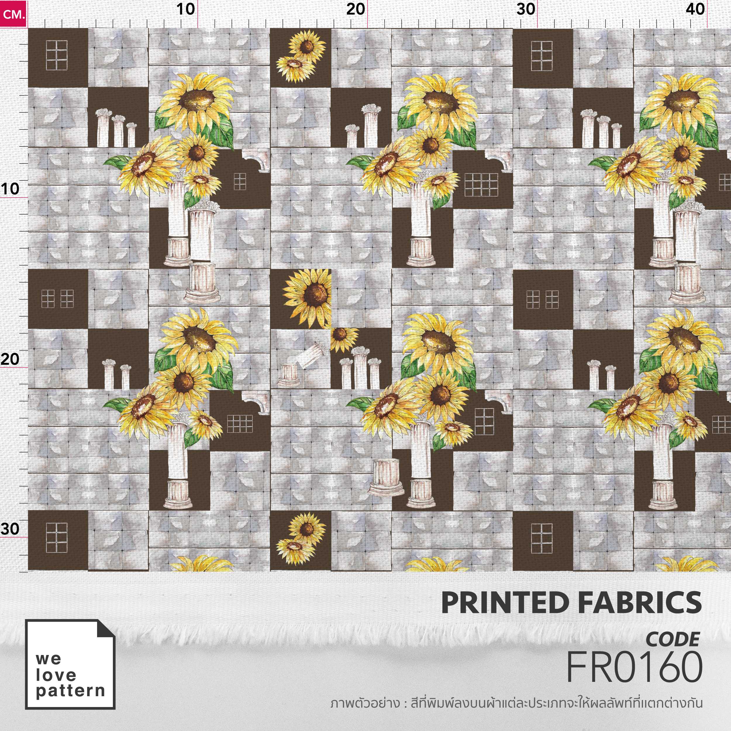 รหัสลาย : FR0160