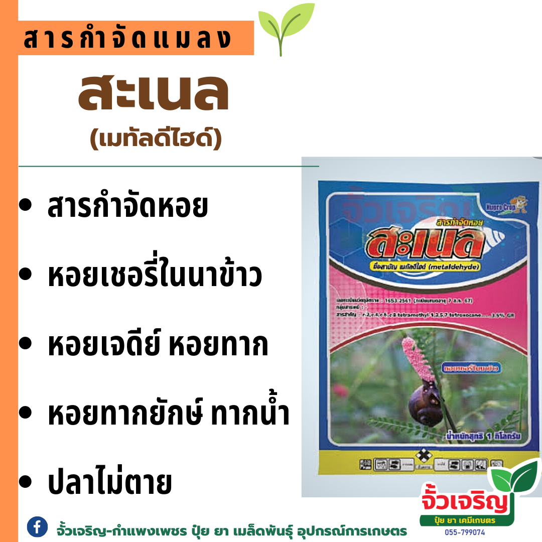 สะเนล 1กก.  สารกำจัดหอย เบื่อหอย หอยเชอรี่ หอยทาก หอยเจดีย์ หอยศัตรูพืช