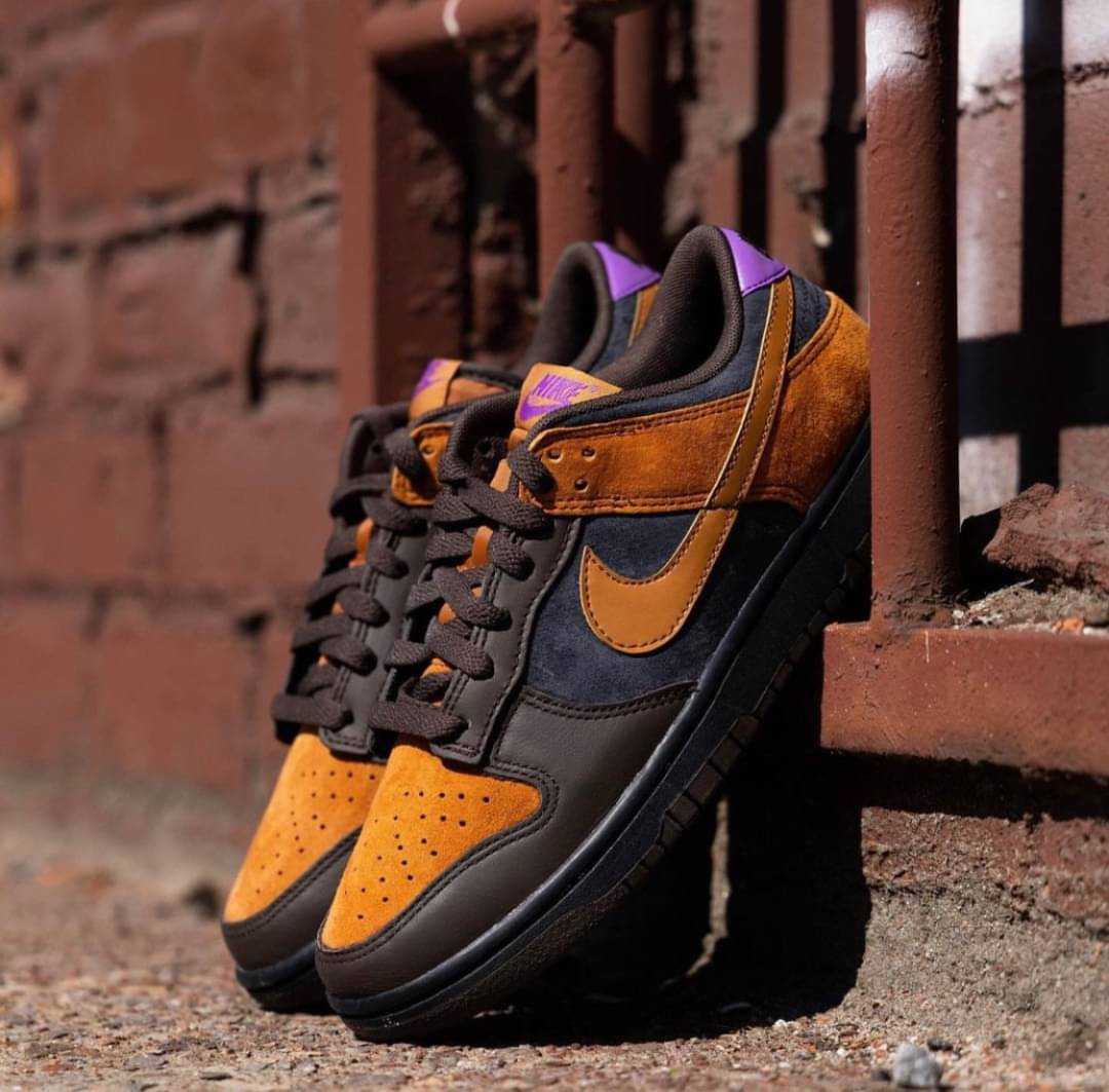 Nike Dunk Low Cinder 