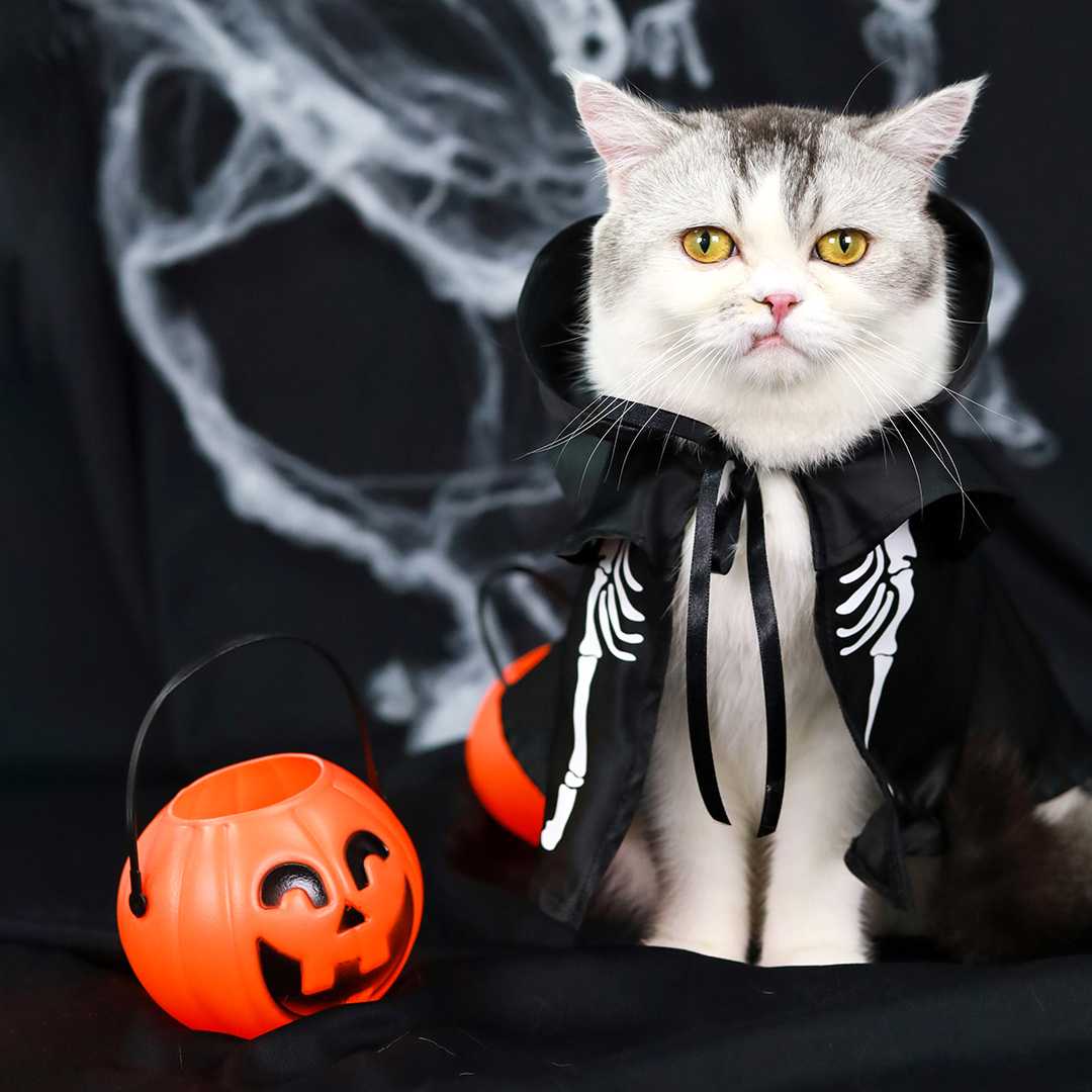 Halloween Collection - ผู้คุมวิญญาณ