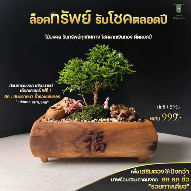 กระถางเรียกทรัพย์(ฮก เสริมด้านรวย)+ไม้มงคลแก้วแคระ