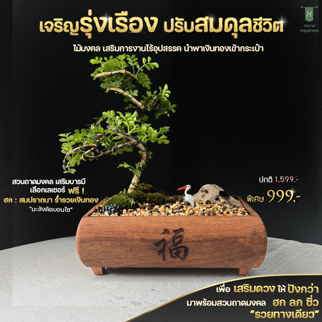 กระถางเรียกทรัพย์(ฮก เสริมด้านรวย)+ ไม้มงคลมะสังดัด